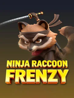 Ninja Raccoon Frenzy game artwork