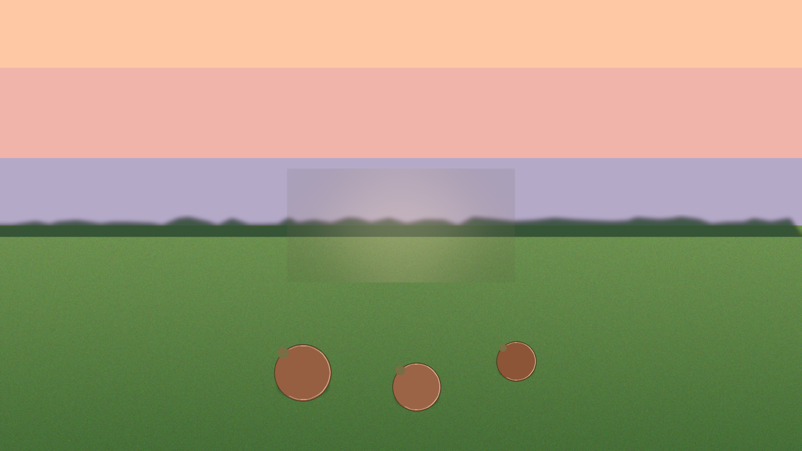 Outdoor grass field at sunrise with three leather balls resting on dewy turf and a blurred tree-line background.